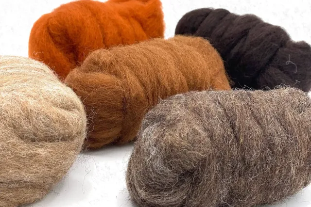 The Wool Family Corriedale wol herfst set 5 x 25g om te vilten