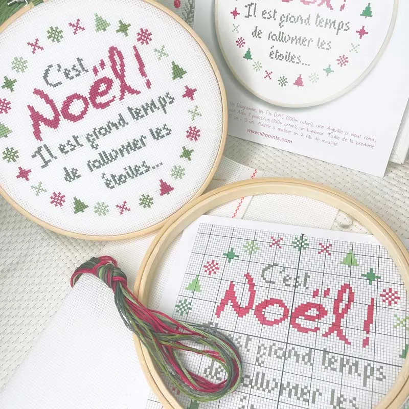 LiliPoints Le Chat beginners borduurkit 13x13cm
