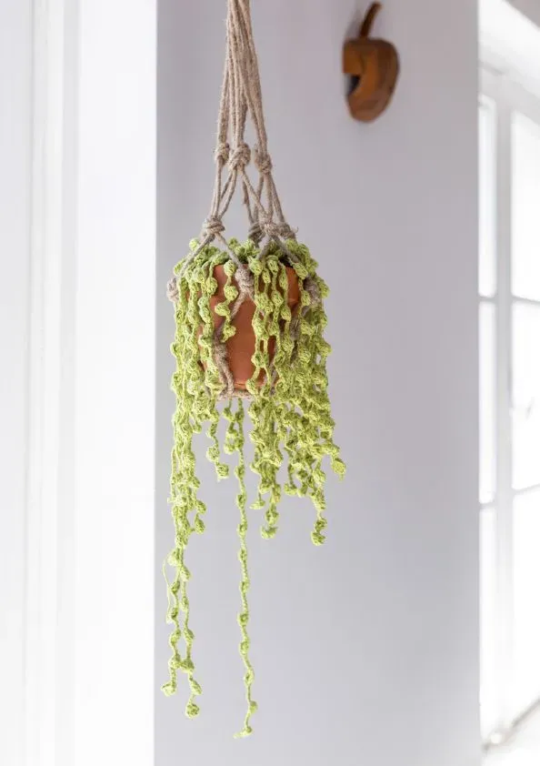 Leijns Creative Greenhouse Erwtenplant haakpatroon hangplant