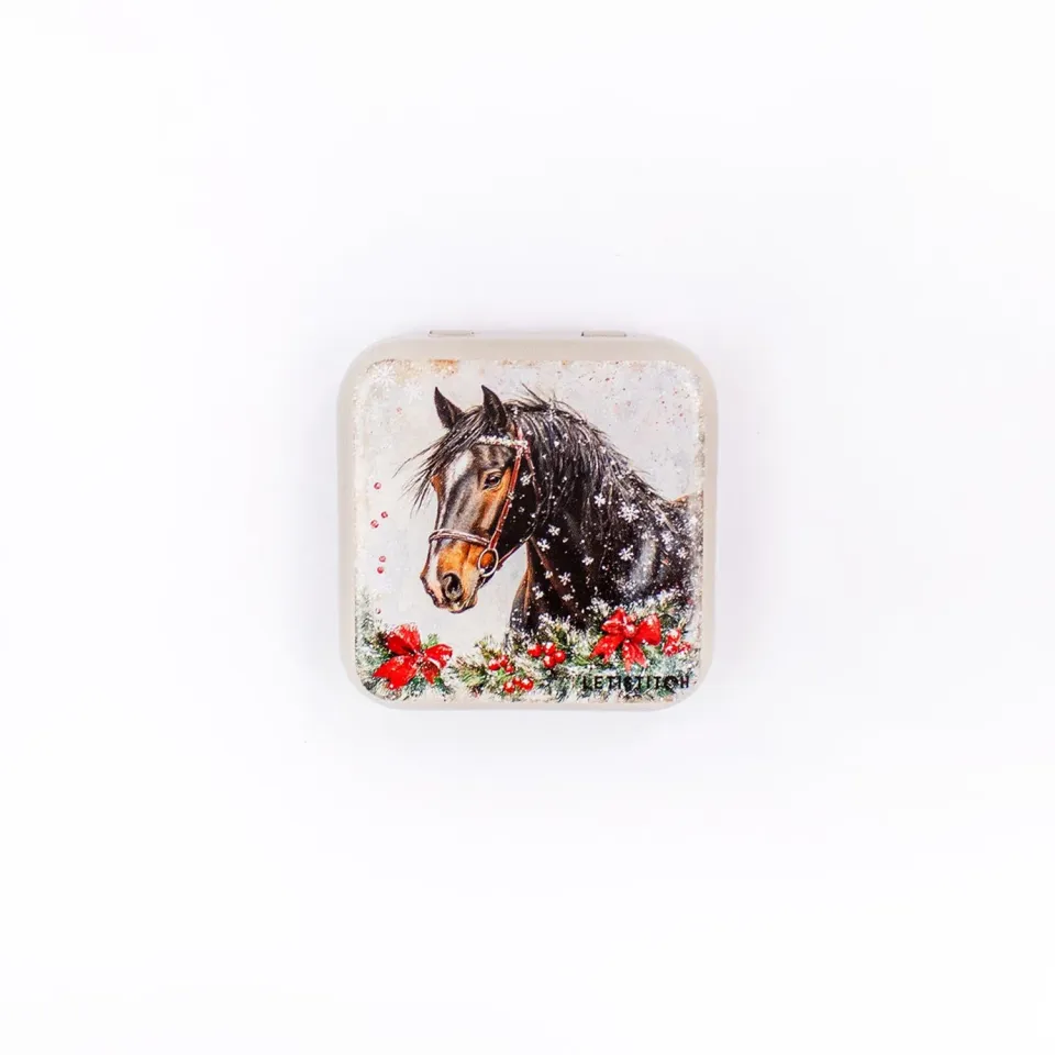 Leti Stitch Winter Horse naaldenblikje tin 5,5x5,5cm bewaar