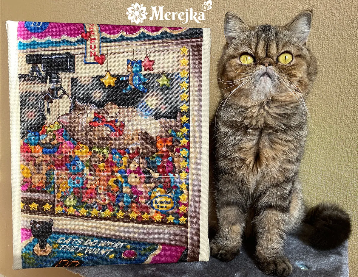 Merejka Cats Do What They Want borduurpakket kat 22x30