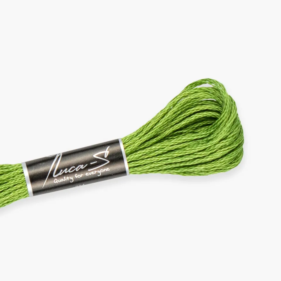 Luca-S 254 borduurgaren 8 m groen DMC 988 Anchor 243