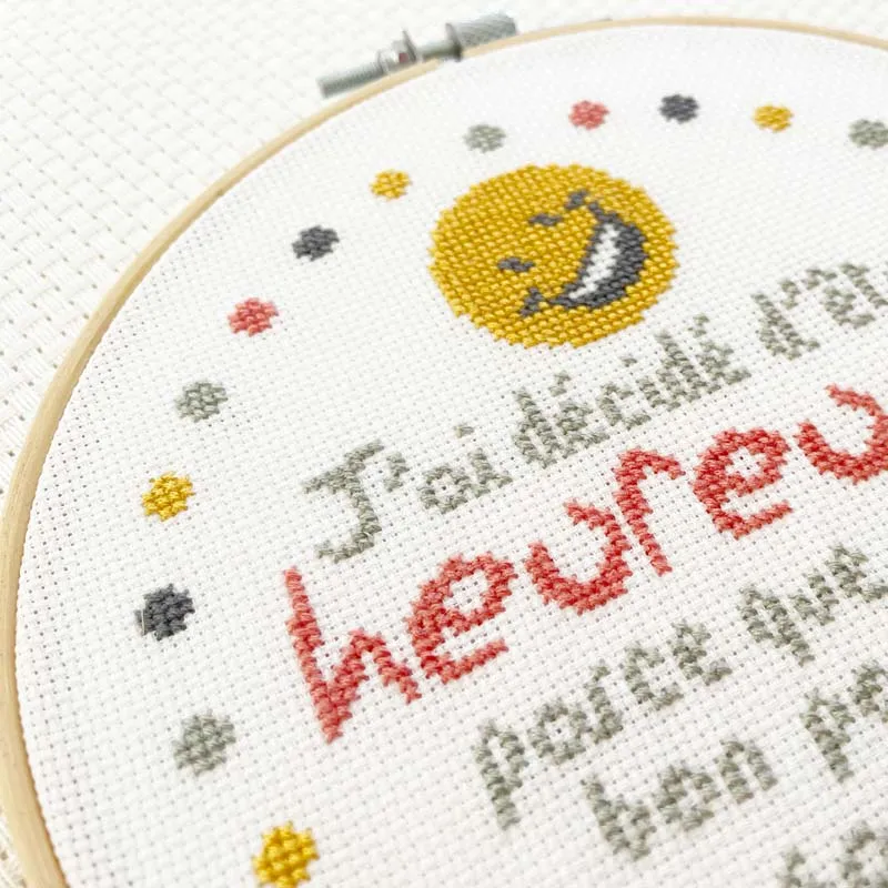 LiliPoints Beginners Happy borduurpakket compleet
