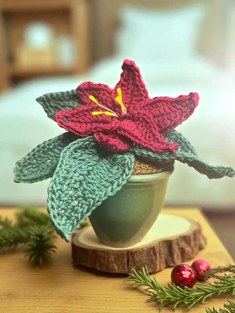 Leijns Creative Greenhouse DIY pakket kerstster haken rood