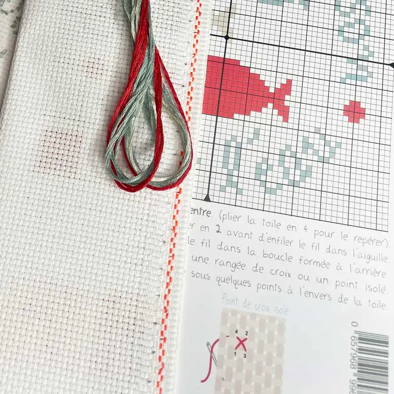 LiliPoints Comme un poisson borduurpakket mini vis 11 cm