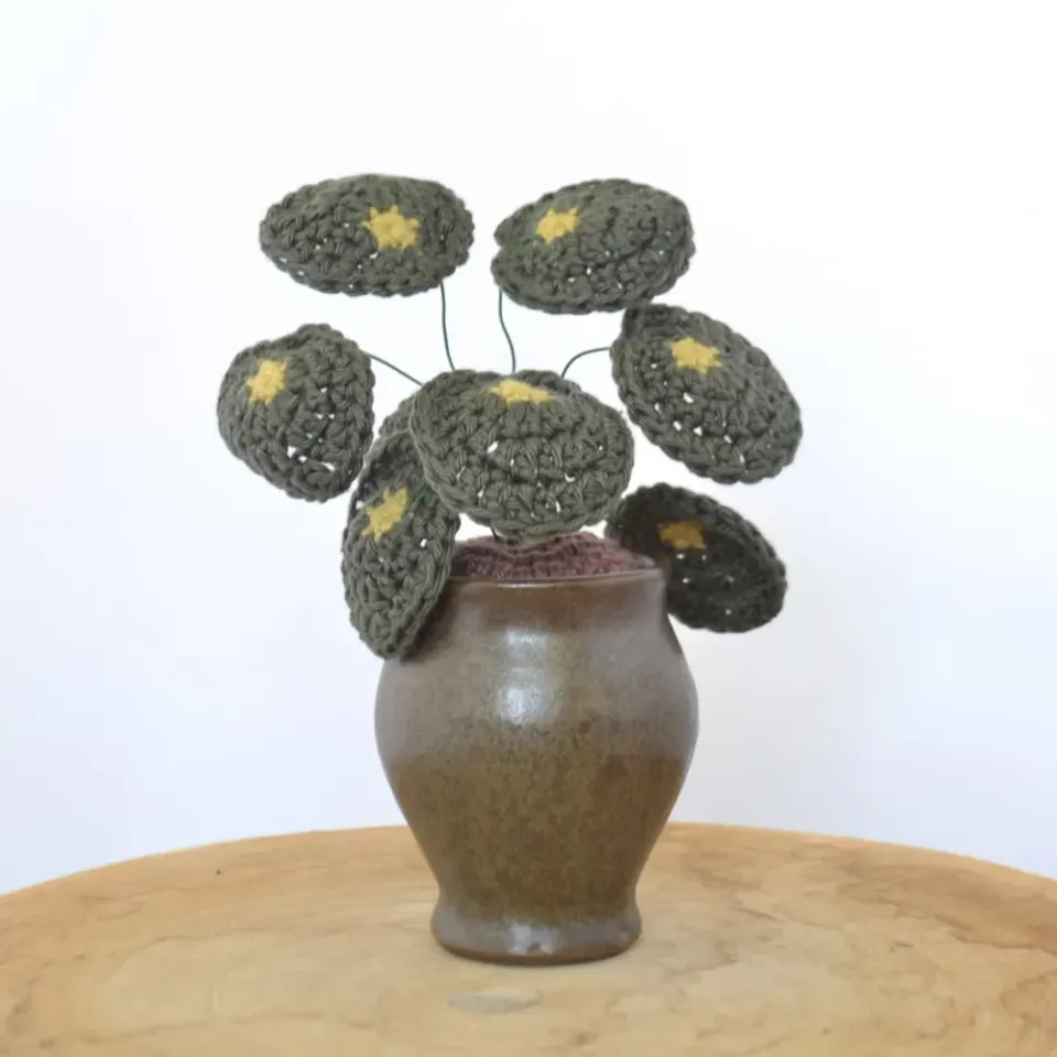 Leijns Creative Greenhouse haakpatroon Pilea pannenkoekenplant