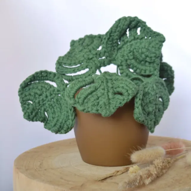 Leijns Creative Greenhouse Monstera Deliciosa haakpatroon gatenplant