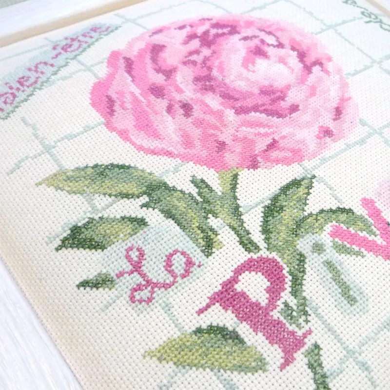 LiliPoints Peony borduurpatroon pioenroos 151 steken
