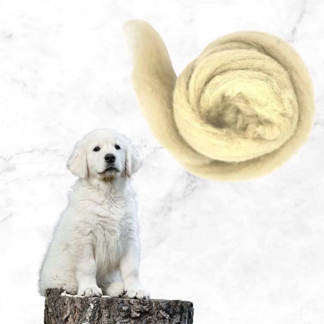 The Wool Family Honden Collectie corriedale wol 125 gr