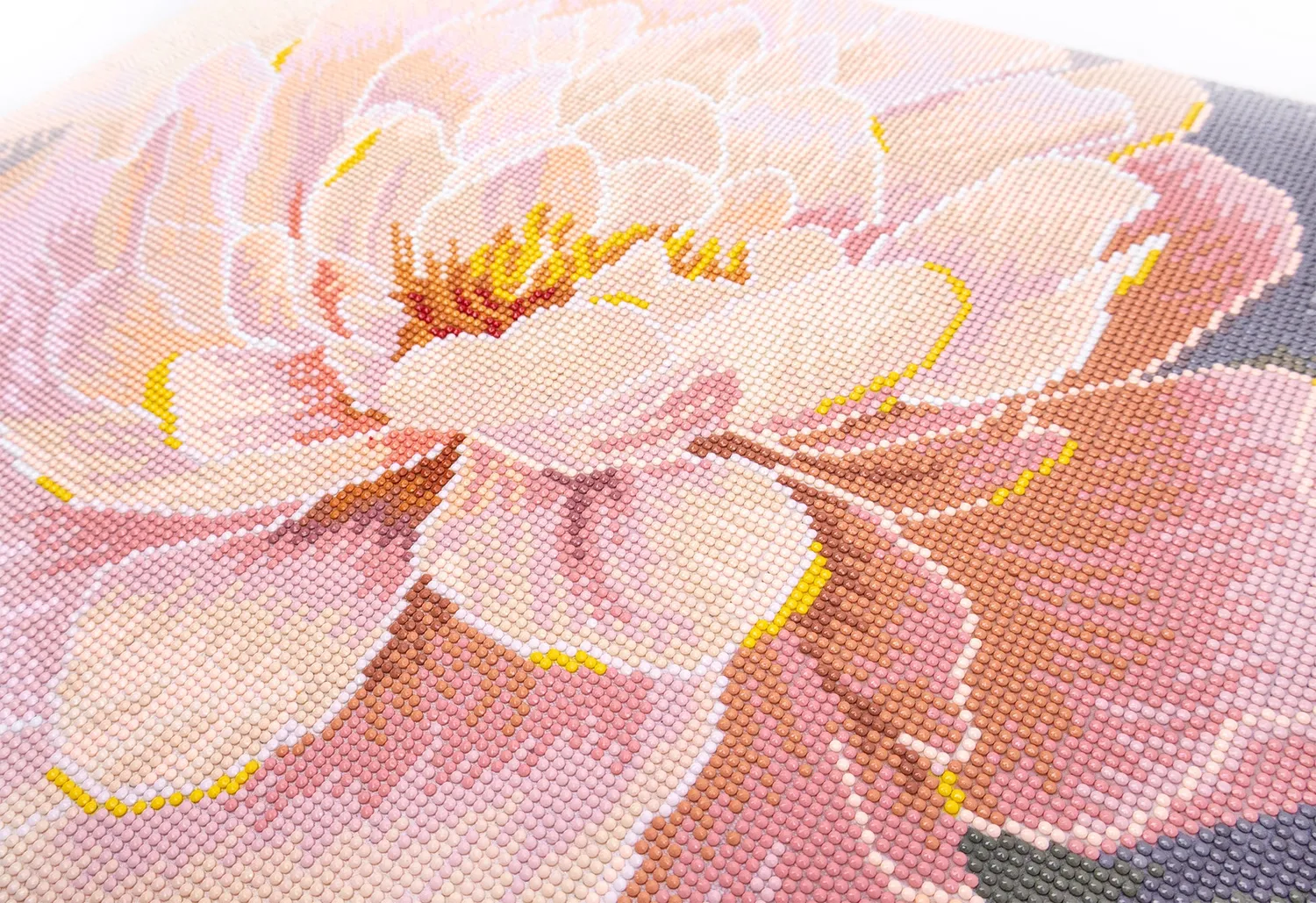 Dazzle Dots 481-050 Floral Grace diamond painting 40x50 met lijst