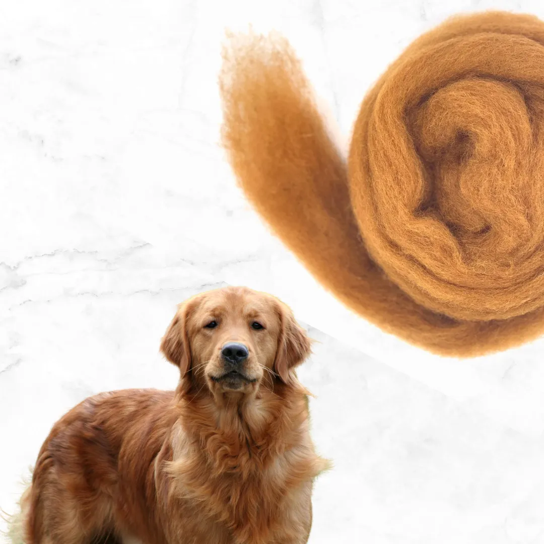 The Wool Family Honden Collectie corriedale wol 125 gr