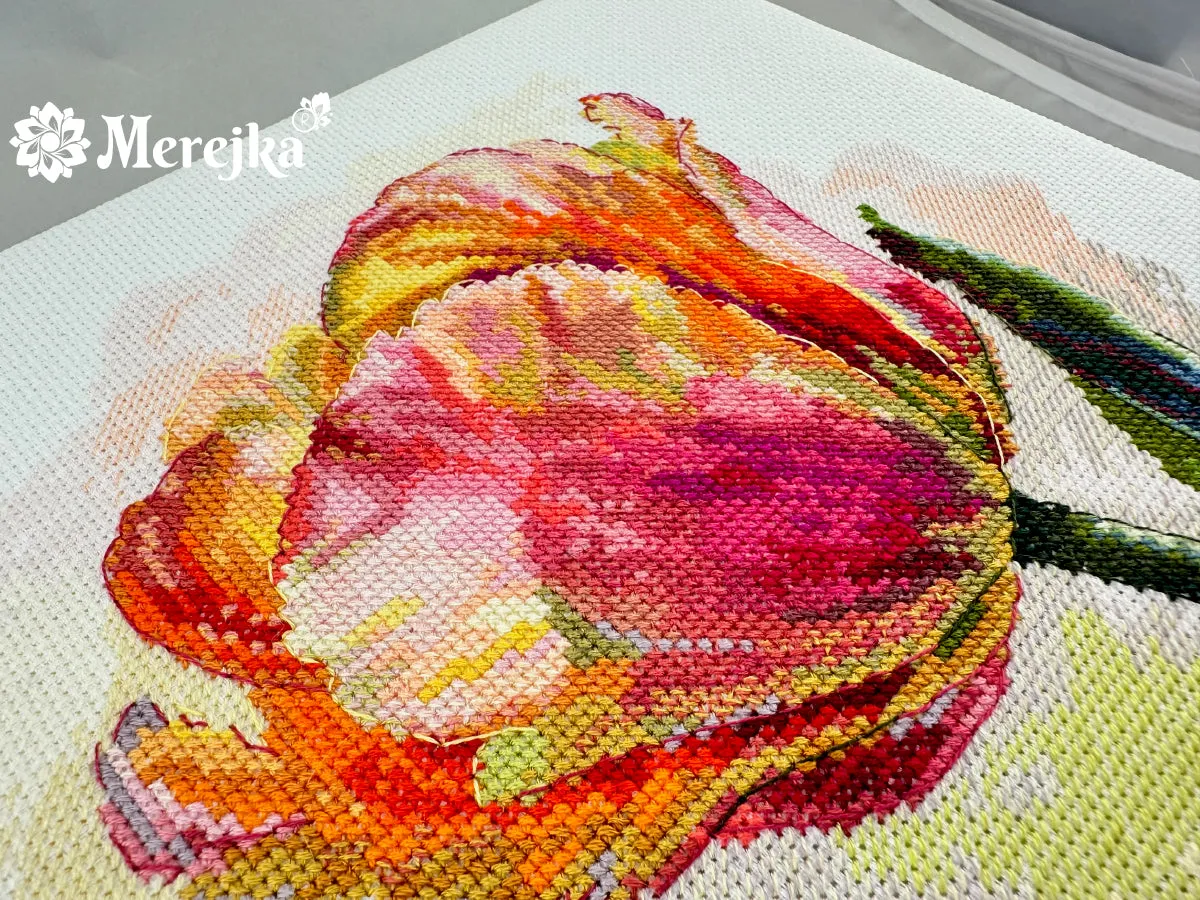 Merejka Parrot Tulip borduurpakket Aida 14 wit 21x21 cm