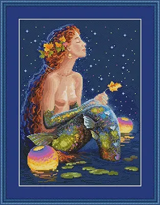 Merejka Stars borduurpakket 26x35 cm nachtblauw