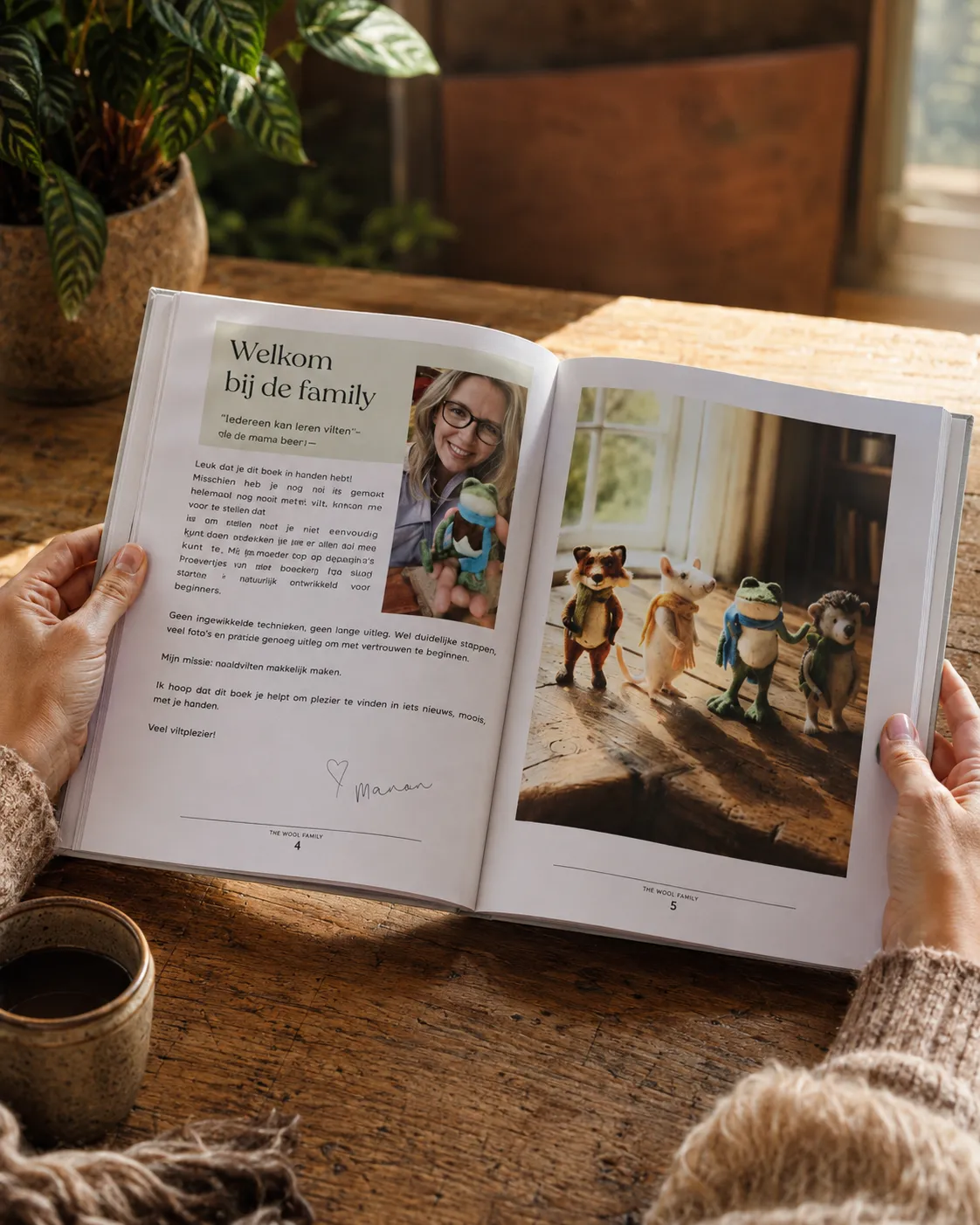 The Wool Family boek + materialenpakket naaldvilten beginners