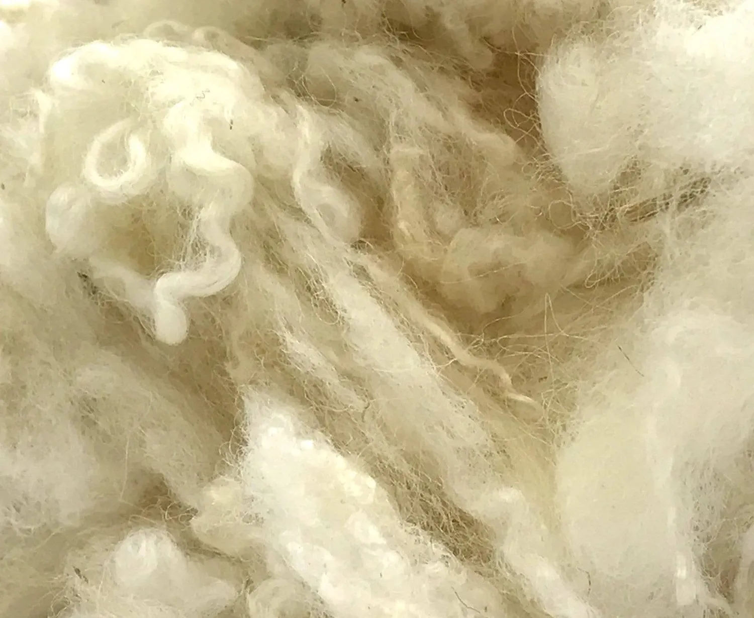 The Wool Family krullen wit naturel wol 50g vacht