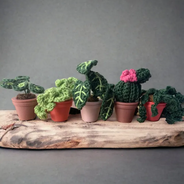 Leijns Creative Greenhouse Mini Urban Jungle haakpatroon 5 plantjes