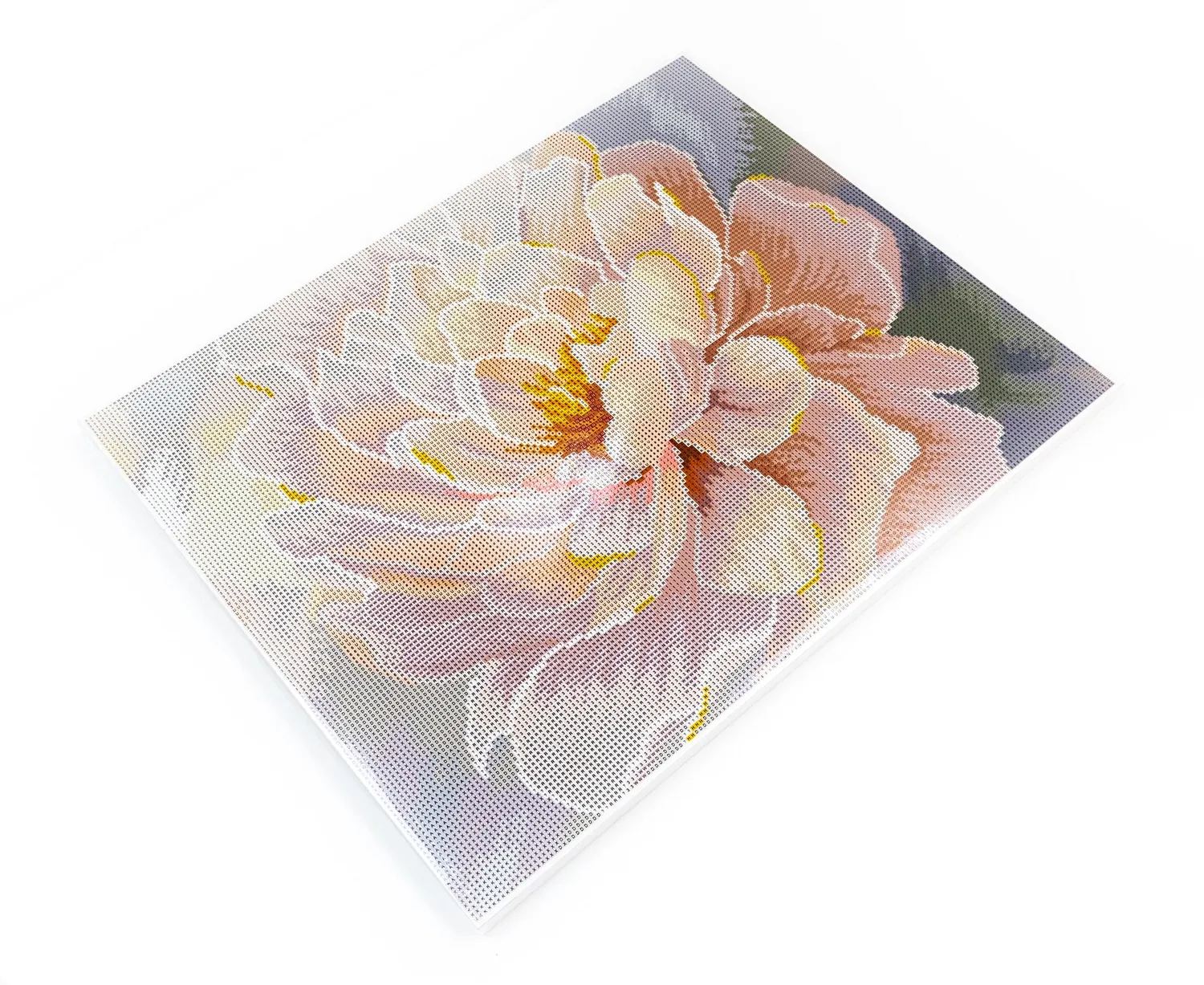 Dazzle Dots 481-050 Floral Grace diamond painting 40x50 met lijst