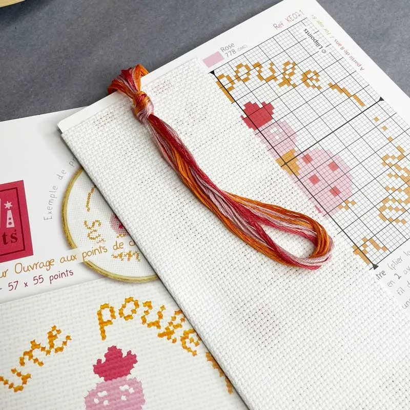 LiliPoints Une Poule Sur Un Mur borduurpakket 11 cm