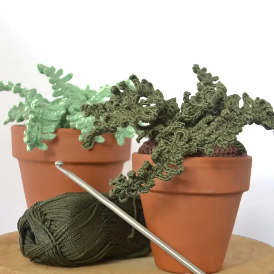 Leijns Creative Greenhouse krulvaren haakpatroon plant