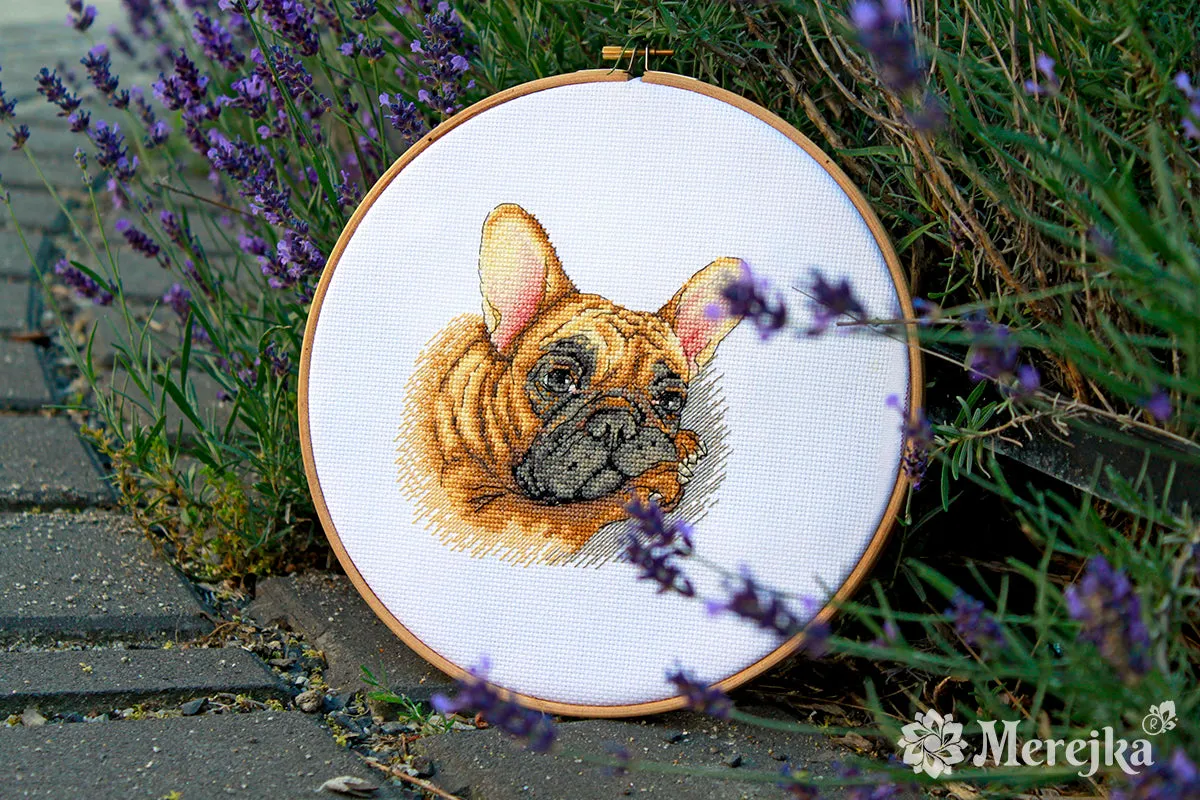 Merejka French Bulldog borduurpakket wit 15x15 cm