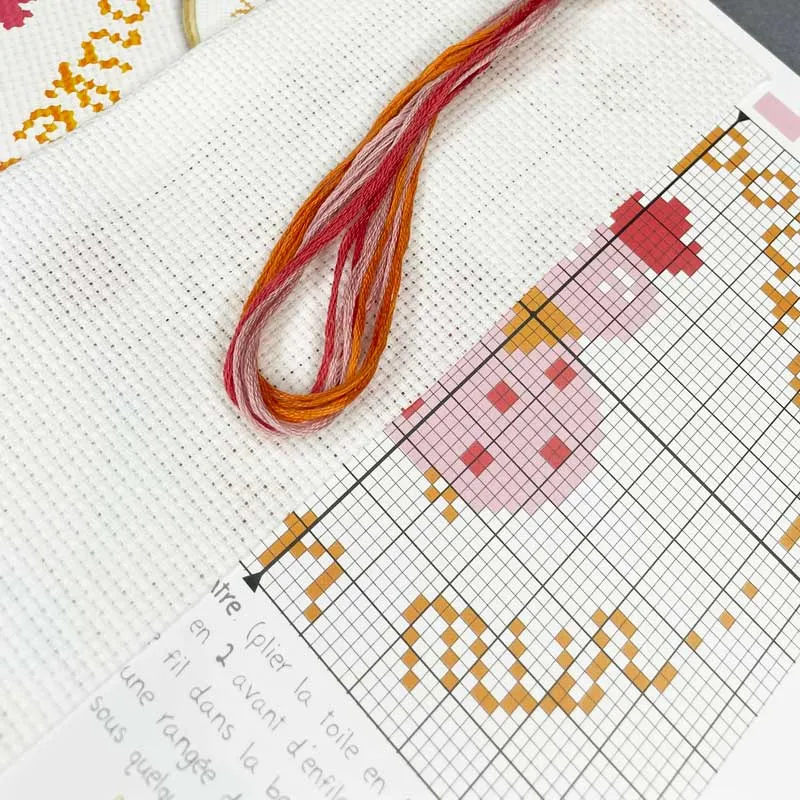 LiliPoints Une Poule Sur Un Mur borduurpakket 11 cm