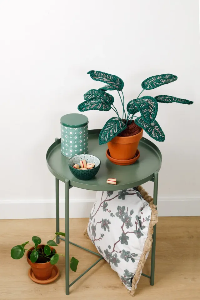 Leijns Creative Greenhouse haakpatroon Calathea pauwenplant pdf