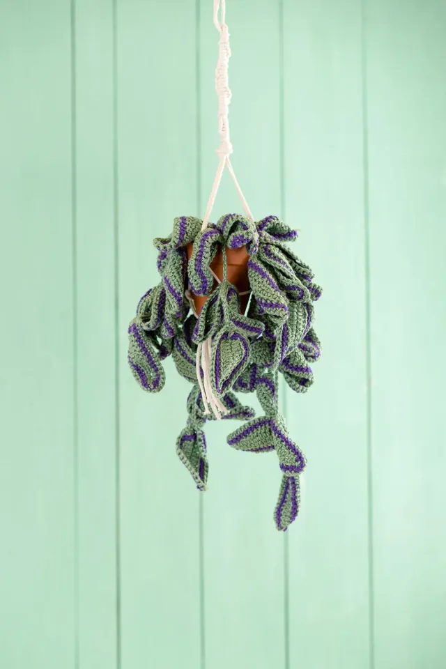 Leijns Creative Greenhouse Tradescantia Zebrina haakpatroon
