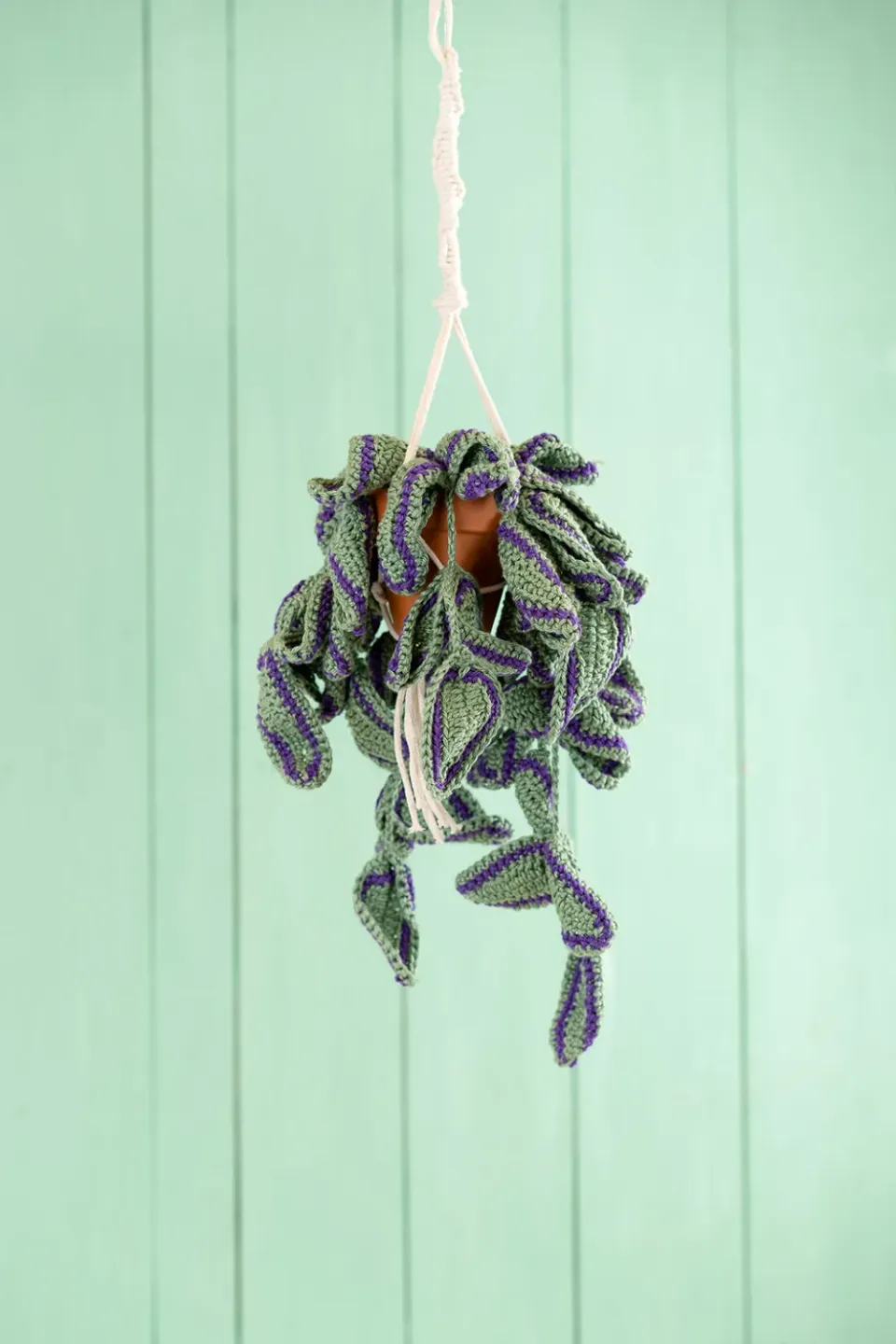 Leijns Creative Greenhouse Tradescantia Zebrina haakpatroon