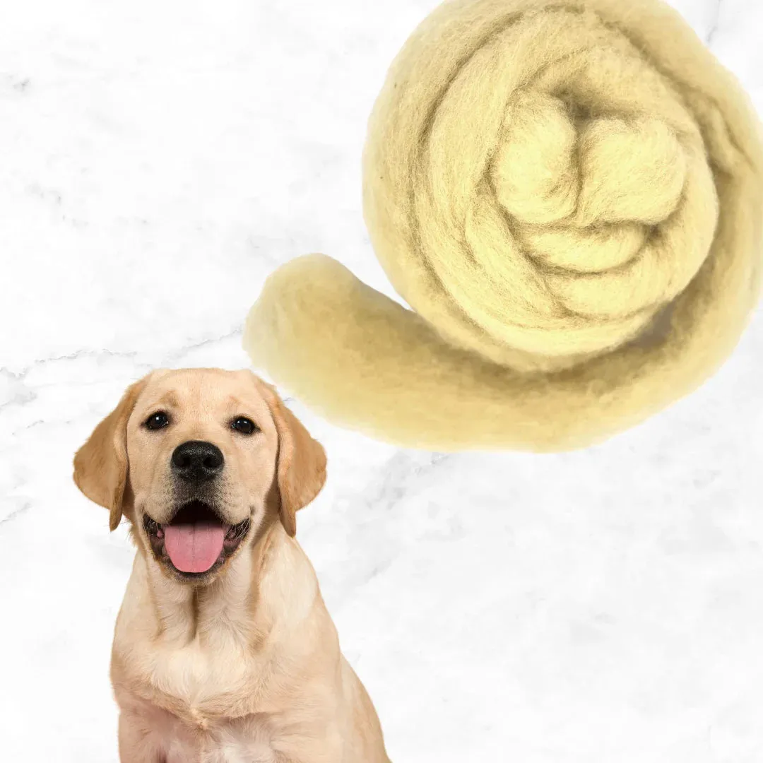 The Wool Family Honden Collectie corriedale wol 125 gr