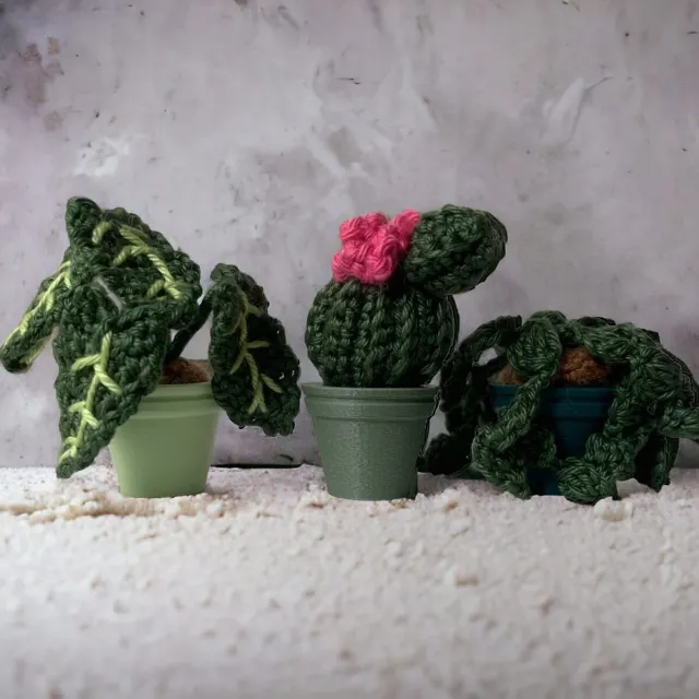 Leijns Creative Greenhouse Urban Jungle haakpakket 5 plantjes