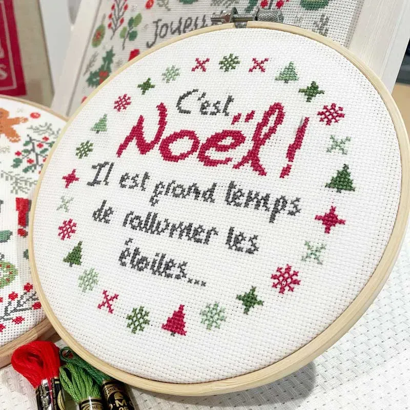 LiliPoints Le Chat beginners borduurkit 13x13cm