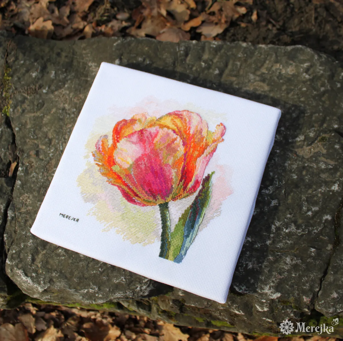 Merejka Parrot Tulip borduurpakket Aida 14 wit 21x21 cm