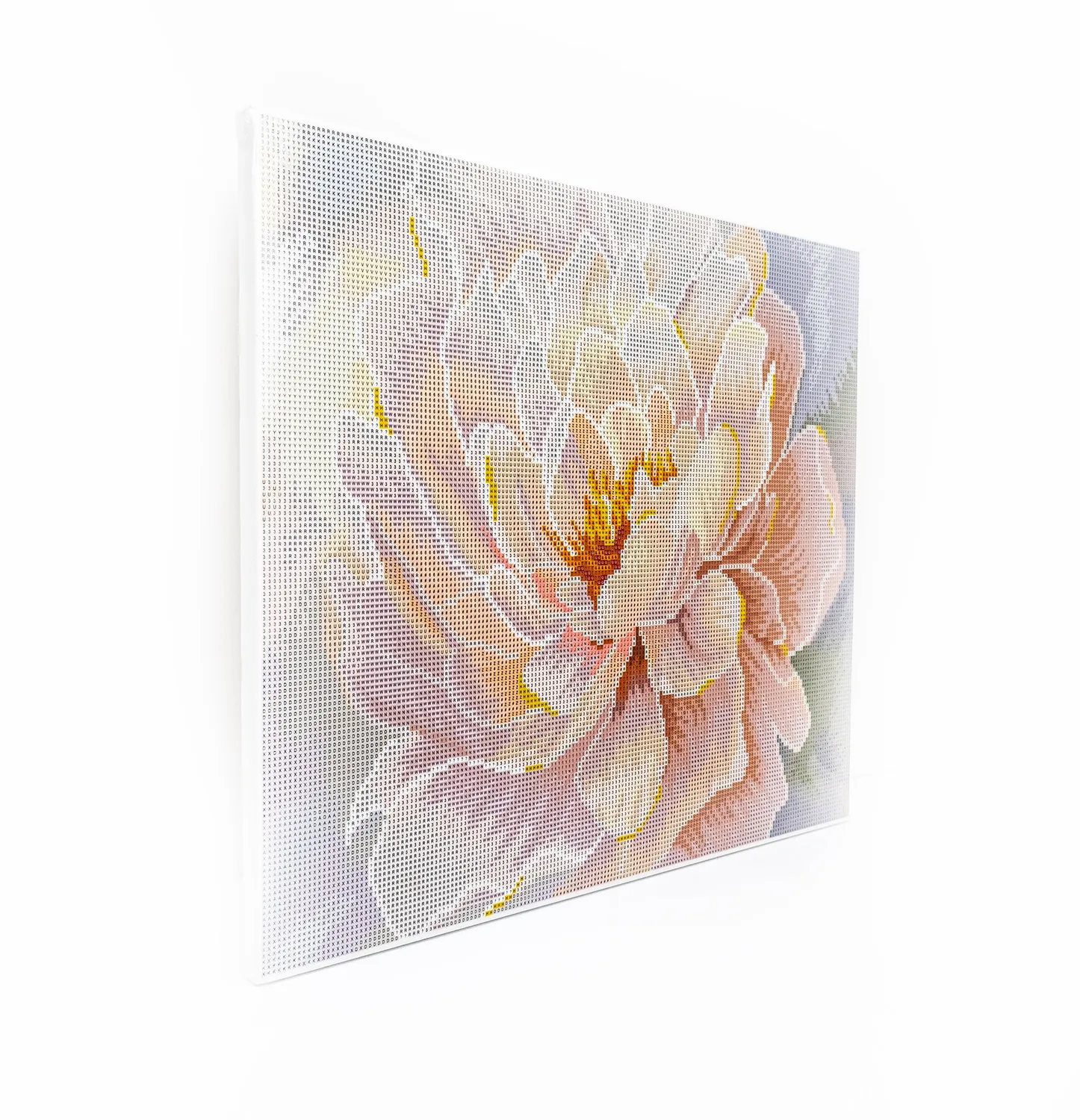 Dazzle Dots 481-050 Floral Grace diamond painting 40x50 met lijst